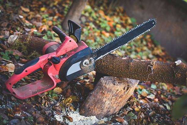 Best Stump Grinding and Removal  in Hobart, WI